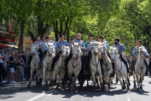 Nîmes : abrivado sur le boulevard Victor Hugo ce week-end
