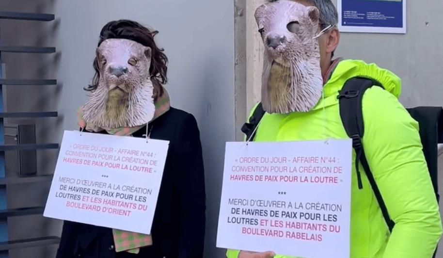 Montpellier : que faisaient ces loutres sur le parvis de la mairie avant le conseil municipal ?