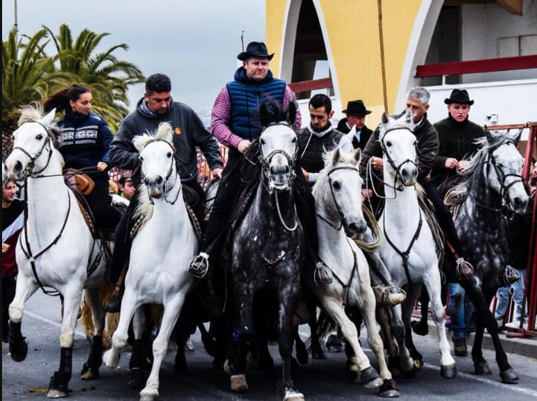 Palavas-les-Flots : découvrez le programme de la Féria de la Mer