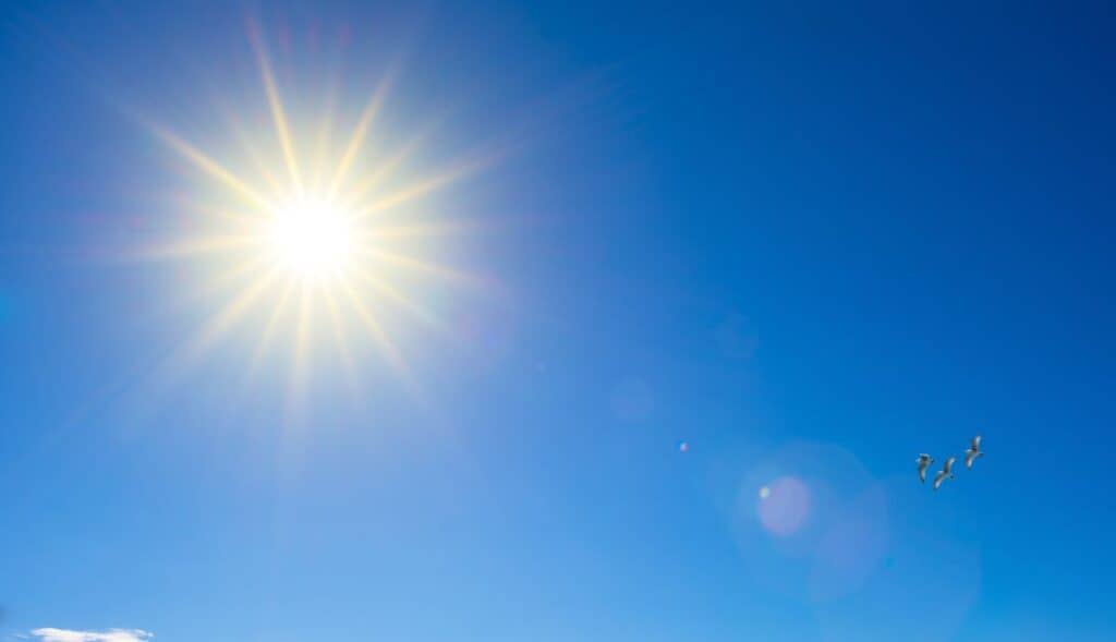 Météo : des journées printanières au programme, jusqu’à 27 degrés attendus en Occitanie