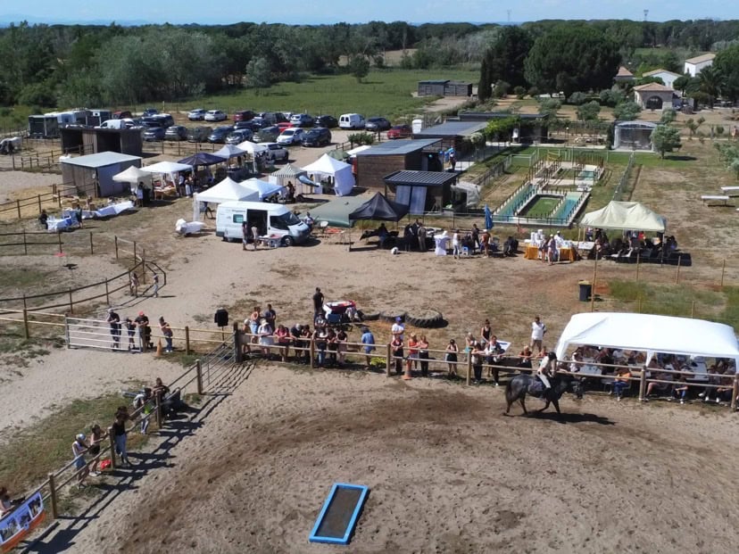 Gard : le salon du bien-être équin à Aigues-Mortes, pour prendre soin des chevaux