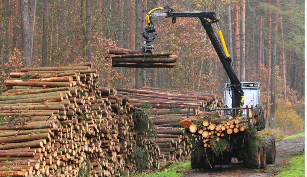 Occitanie : l’emploi dans la filière forêt-bois bondit depuis 2019