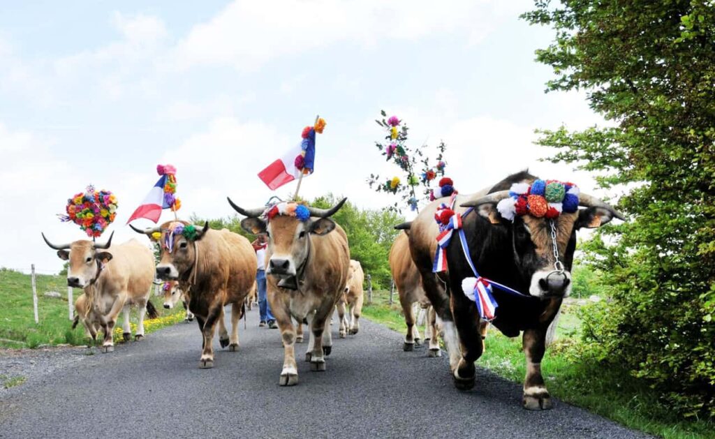Lozère : la fête de la Transhumance se déroule ce dimanche