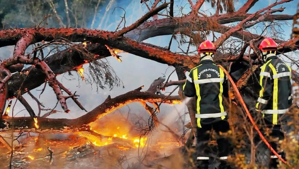 Gard : départ de feu de végétaux sur la commune de Vézénobres