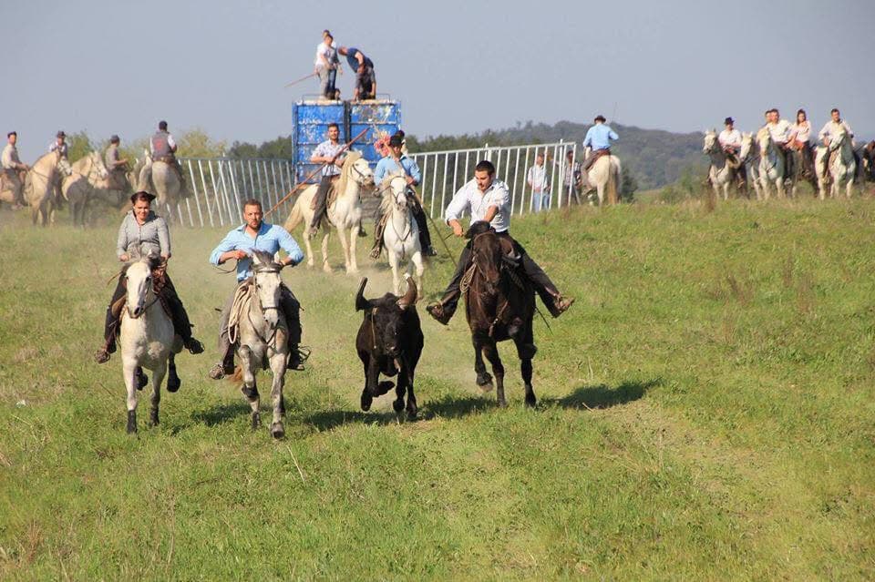 Gard : la fête d’Aigremont, c’est ce week-end ! Découvrez le programme