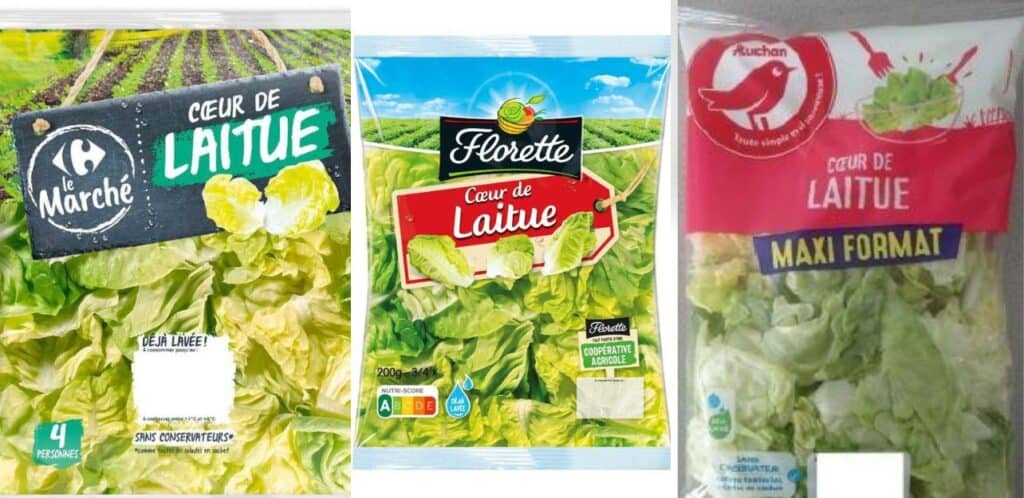 Conso : rappel massif de sachets de laitue pour risque de listeria