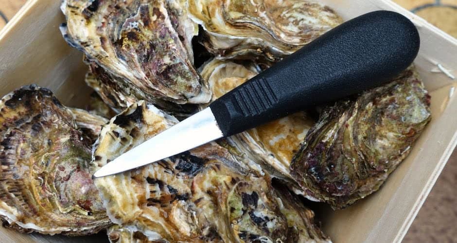 Hérault : la Conch’Party, initialement prévue ce dimanche, reportée au 24 mai