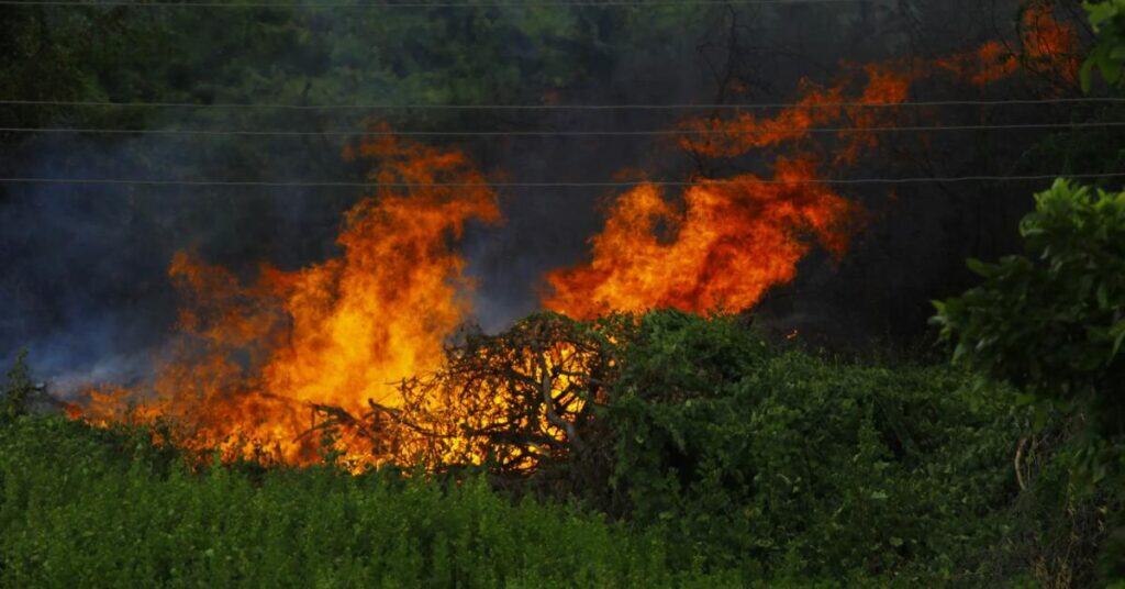 Gard : les Costières et la Petite Camargue en risque « très sévère » d’incendie ce samedi