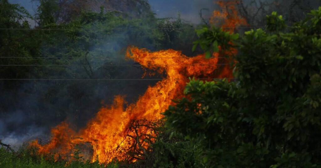 Hérault : le risque incendie « élevé » dans quatre secteurs du département