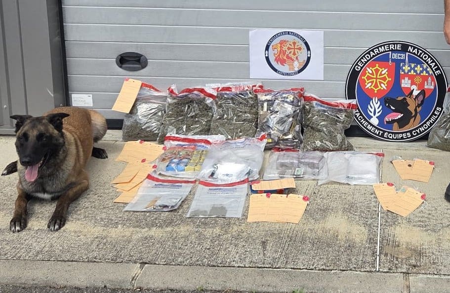 Haute-Garonne : un trafic de drogue démantelé, 13 kg de drogue saisis