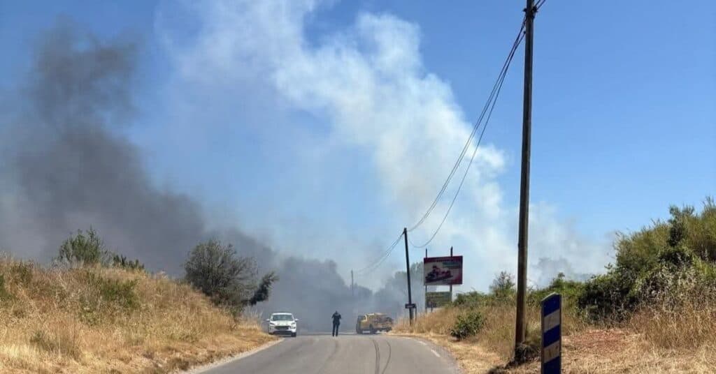 Hérault : un feu de végétation en cours à Grabels
