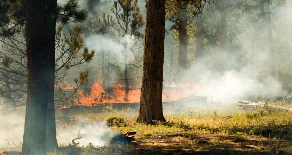 Nîmes : un jeune de 16 ans interpellé après un départ de feu