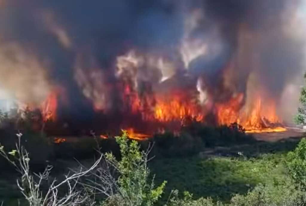 Aude : un virulent incendie ravage plus de 600 hectares