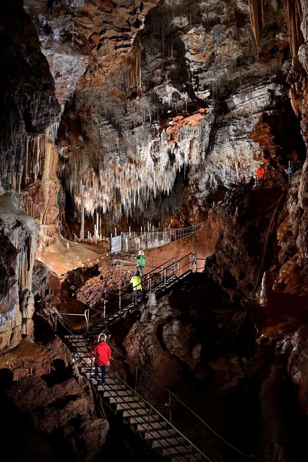 Hérault : une bouffée de fraîcheur au coeur de la grotte de Clamouse