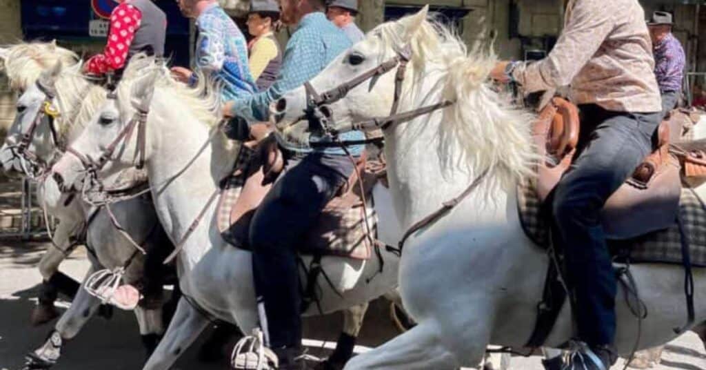 Gard : le fête votive d’Uzès revient pendant quatre jours