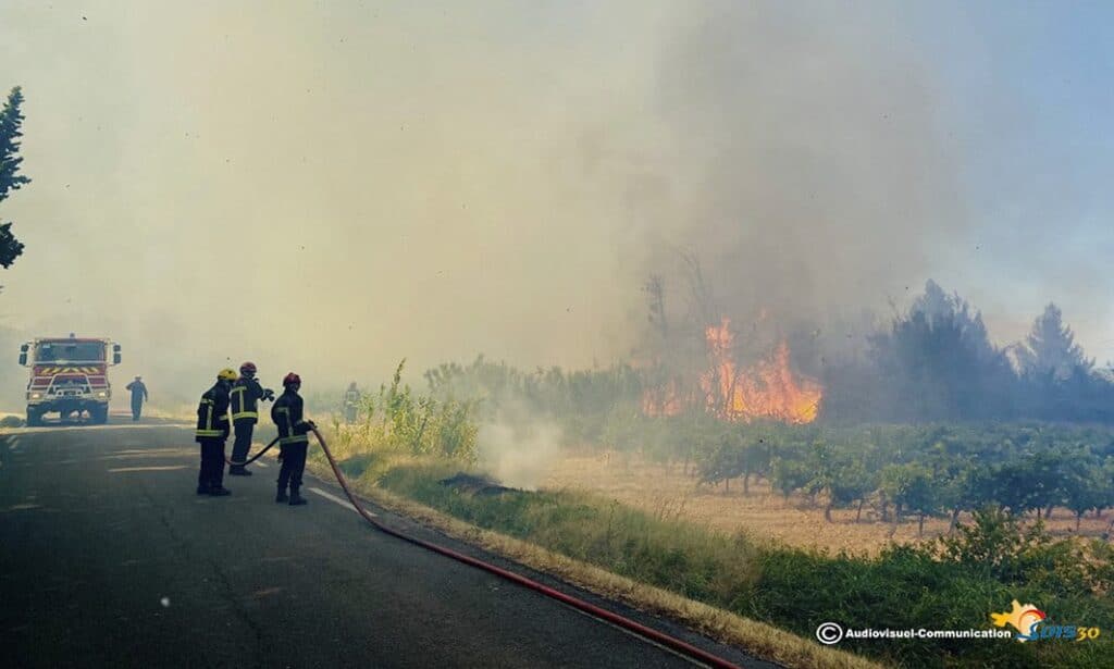 Gard : un véhicule abandonné s’enflamme, un hectare de végétation ravagé