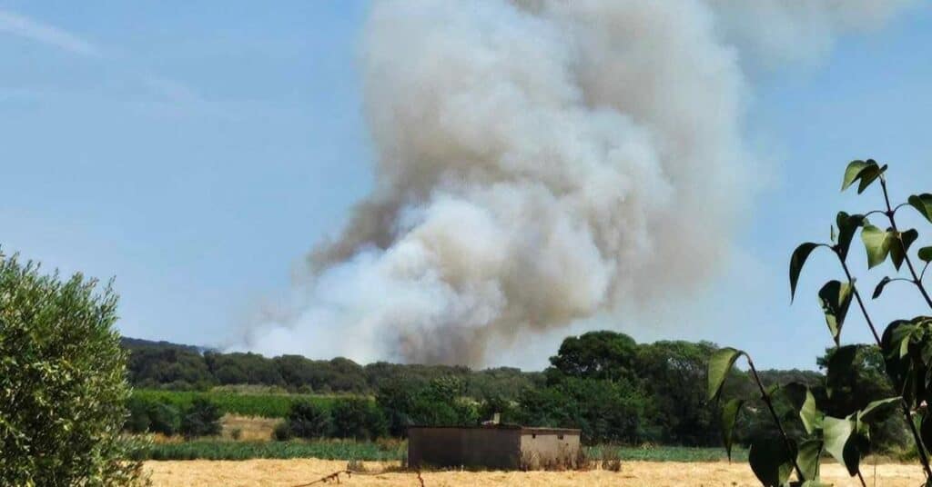 Autoroute A9 : incendie à Fabrègues, la circulation coupée dans les deux sens entre Montpellier et Sète