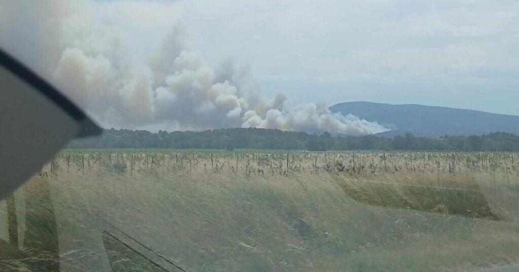 Autoroute A61 : un véhicule prend feu, l’incendie se propage rapidement à la végétation