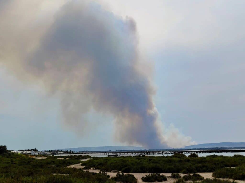 Hérault : violent incendie en cours, plus de 100 hectares ravagés par les flammes