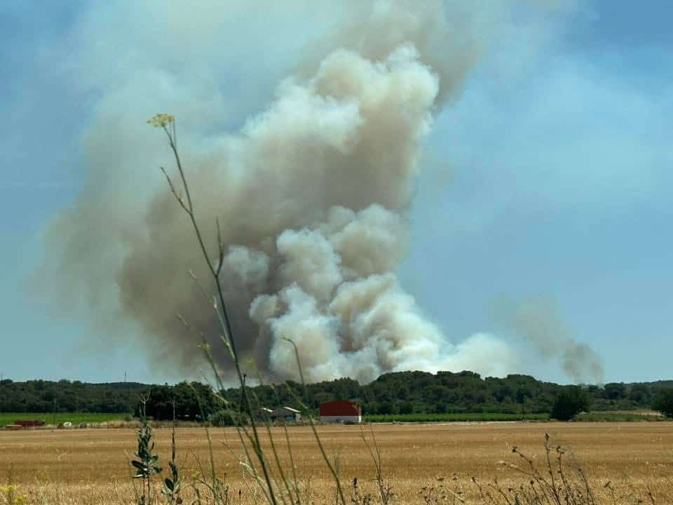 Hérault : plus de 400 hectares détruits par l’incendie toujours en cours