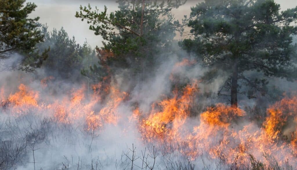 Hérault : une large partie du département placé en risque « élevé » d’incendie