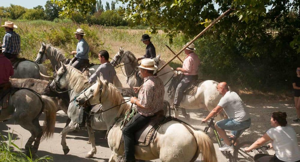 Gard : fête votive de Fourques, ça démarre ce vendredi !
