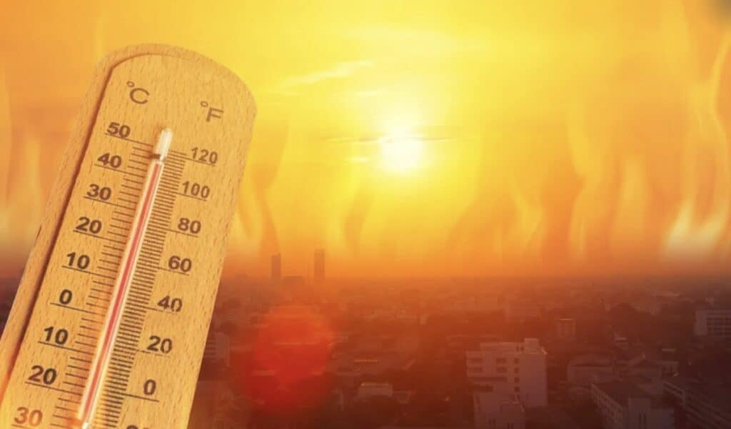météo canicule