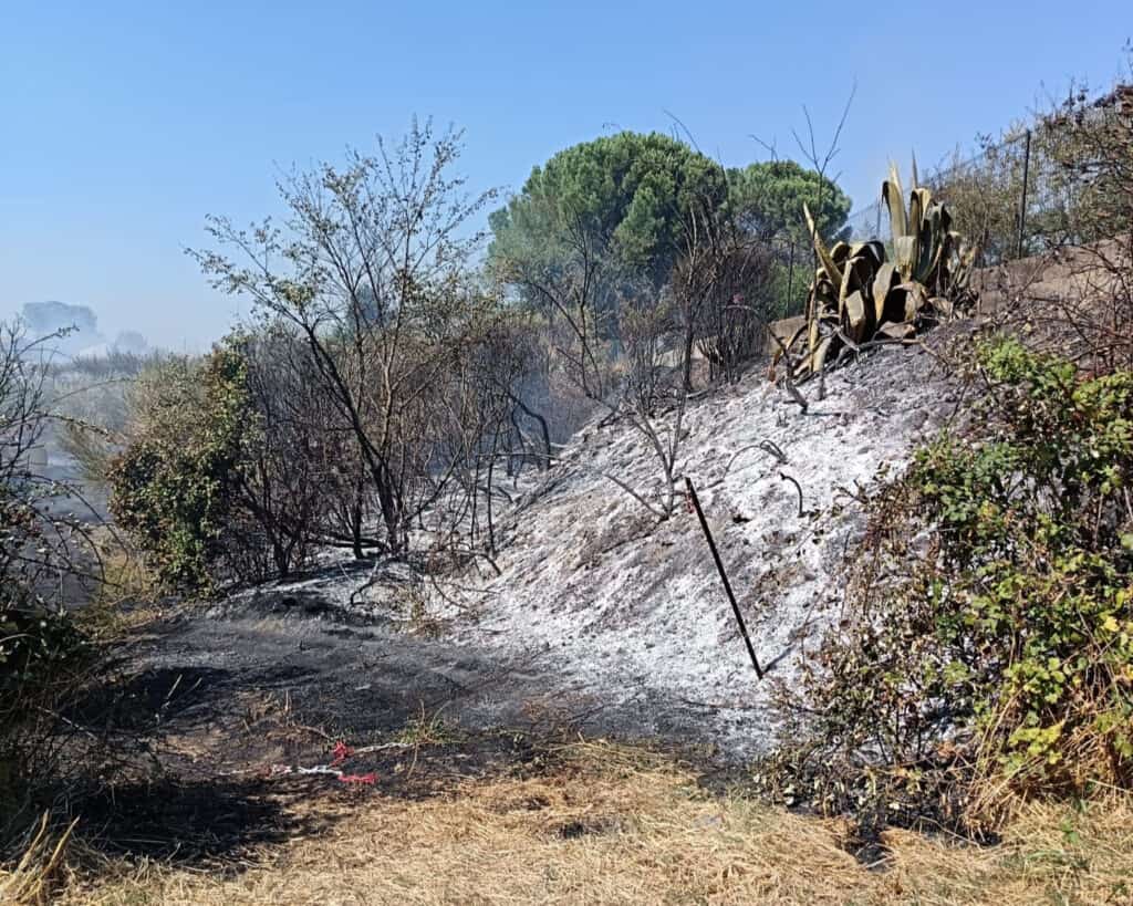 Gard : incendie en cours sur la commune de Domazan