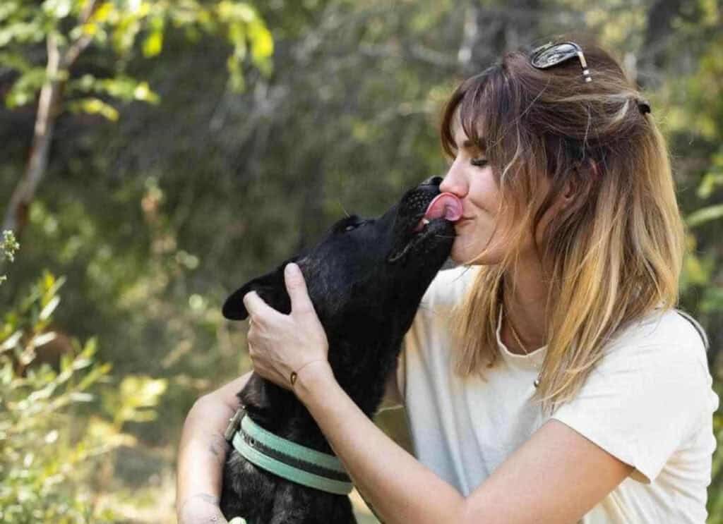 Animaux : la SPA envisage d’euthanasier un chien, Rémi Gaillard intervient