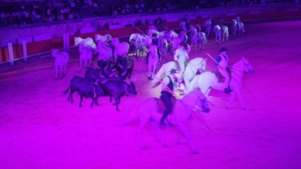 Nîmes : un spectacle équestre grandiose entre poésie camarguaise et voltige extrême