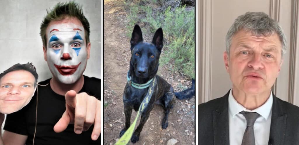 Affaire Smoke : « on euthanasie toujours les animaux, jamais les gros cons », clash entre Rémi Gaillard et le Président de la SPA