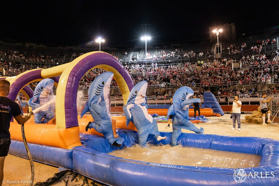 Camargue : les Arènes d’Arles assignées en justice par la société de Nagui