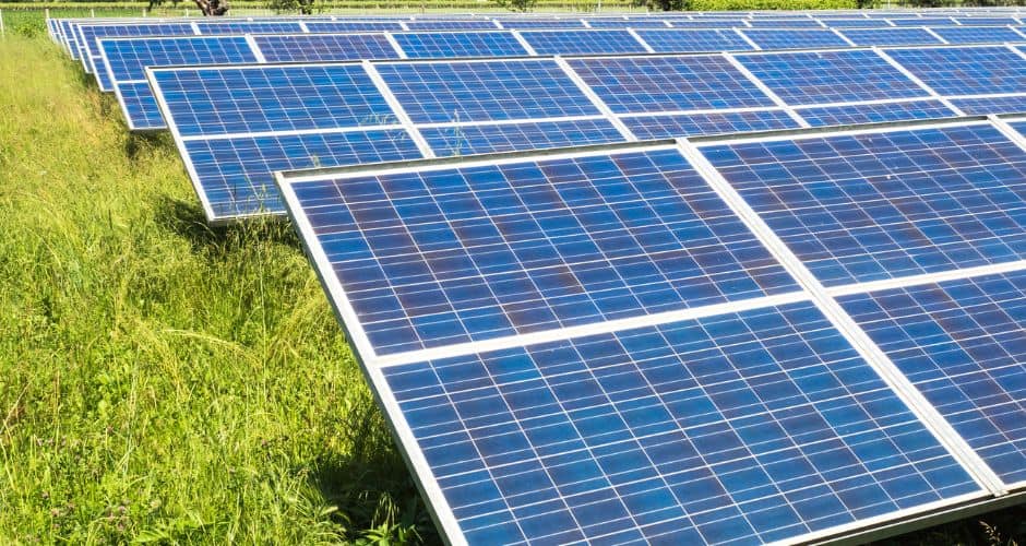 Aveyron : 546 kilos d’herbe de cannabis cachés au milieu de panneaux photovoltaïques