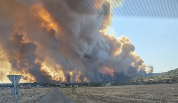 Aude : un nouveau fonds d’urgence pour les exploitations agricoles touchées par l’incendie des Corbières