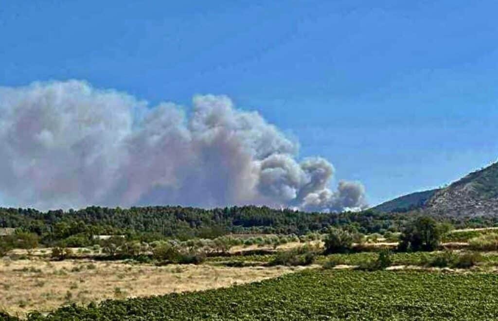 Carcassonne : incendie des Corbières, la Ville vote une aide de 17 000€ pour les communes sinistrées