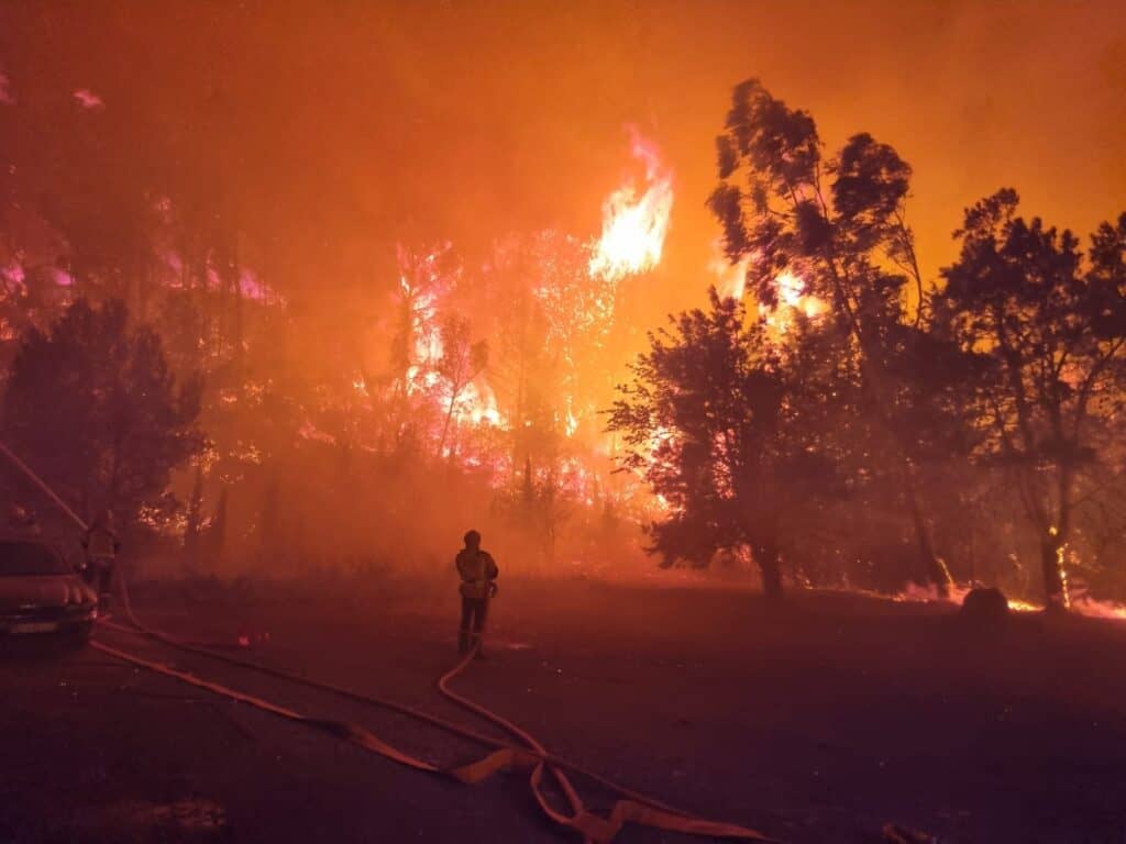 Aude : ouverture du fonds d’urgence pour les exploitations agricoles sinistrées