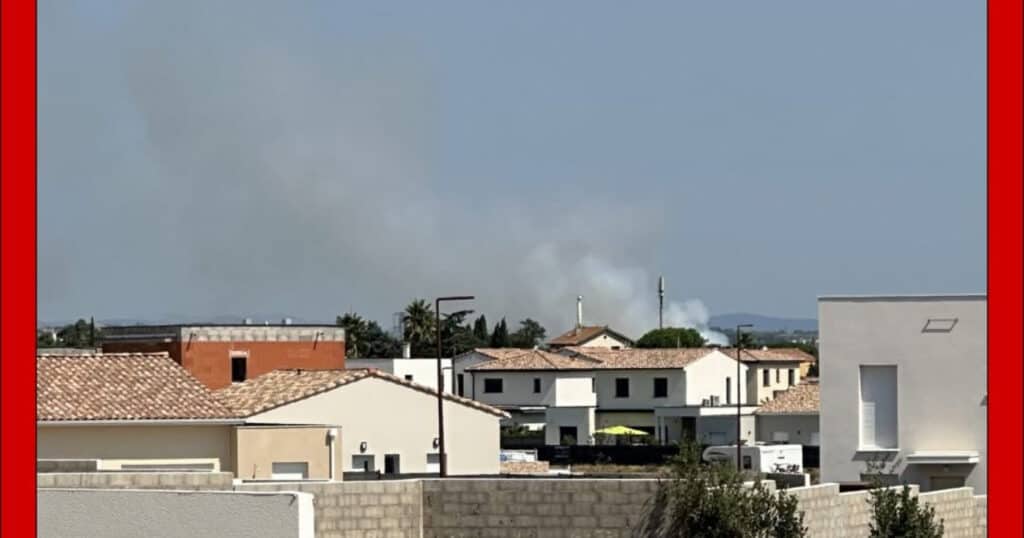 Hérault : nouvel incendie en cours ce jeudi près de Sauvian
