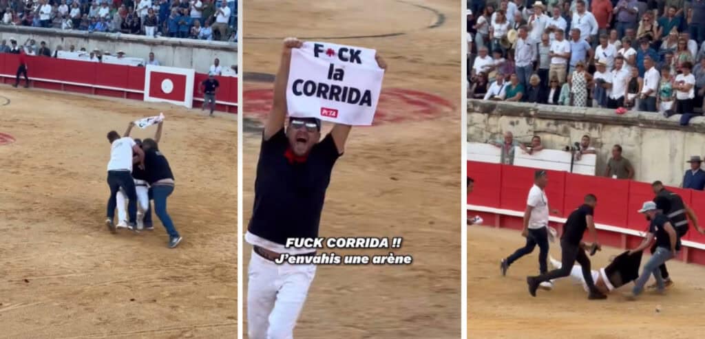 Gard : irruption lors de la corrida, JEREMSTAR est sorti de garde à vue ce dimanche midi