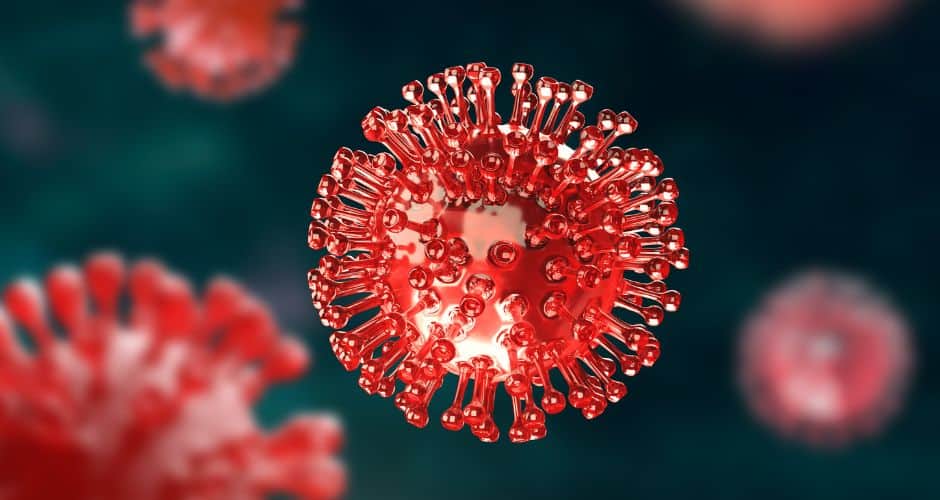 Covid-19 : nouveau variant « Frankenstein », quels risques ?