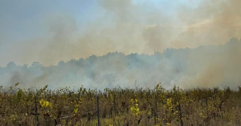 Hérault : incendie de végétation en cours à Montagnac