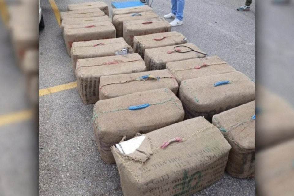 Pyrénées-Orientales : 689 kg de cannabis abandonnés sur l’A9, une enquête en cours