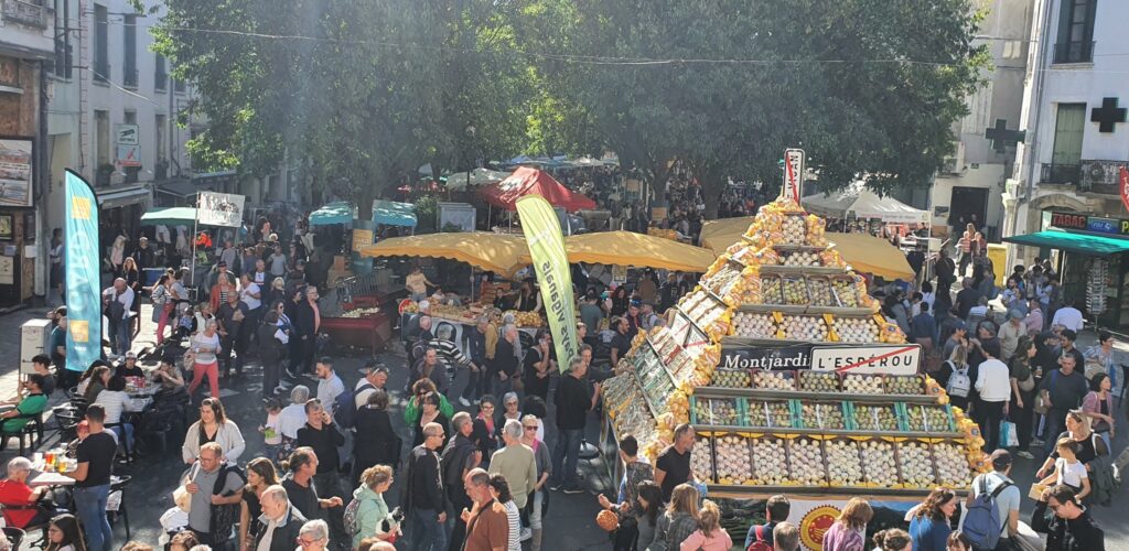 Gard : la Foire de la pomme et de l’oignon doux des Cévennes a lieu ce dimanche