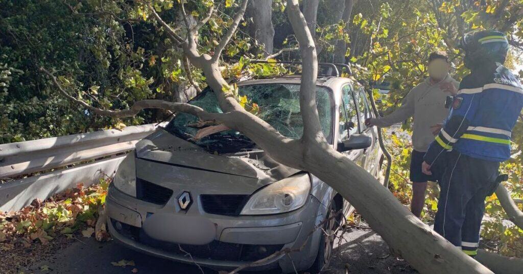 Tempête Benjamin : chutes d’arbres, rafales à plus de 130km/h, pannes, le point sur la situation