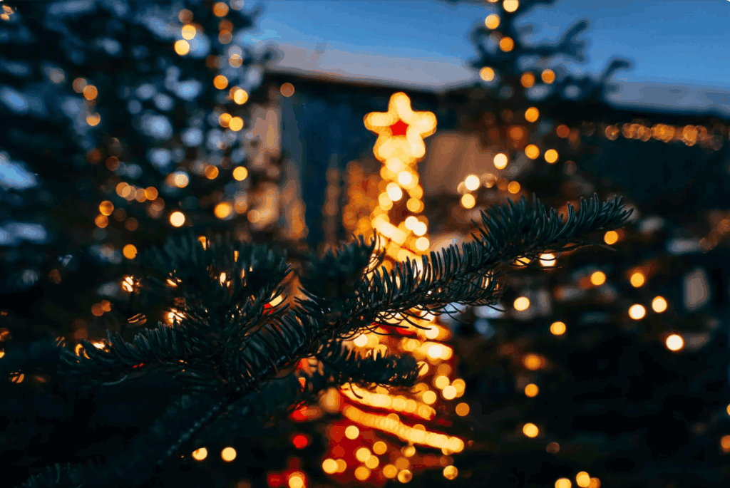 La Grande-Motte : les premiers rendez-vous pour célébrer Noël
