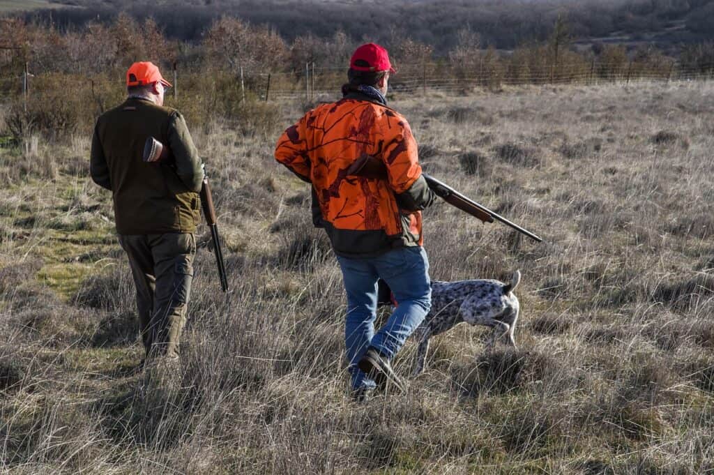 Gard : deux chasseurs gravement blessés par un sanglier