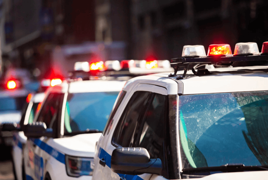 Pyrénées-Orientales : démantèlement d’un trafic de drogue, neuf interpellations
