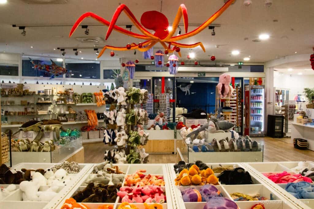 Gard : la magie de Noël s’invite au Seaquarium du Grau-du-Roi