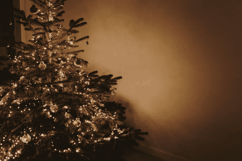 Toulouse : où déposer son sapin après Noël ?