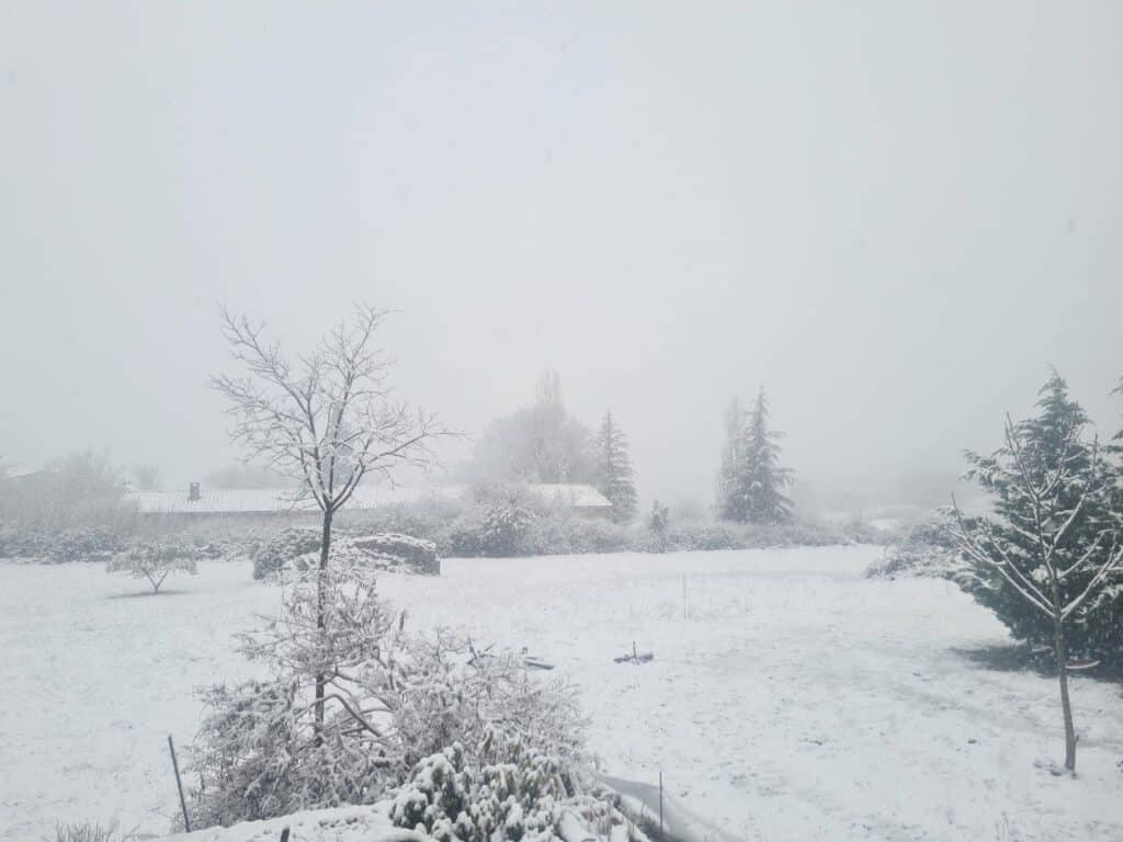 Météo : la neige s’invite jusqu’à basse altitude ce samedi