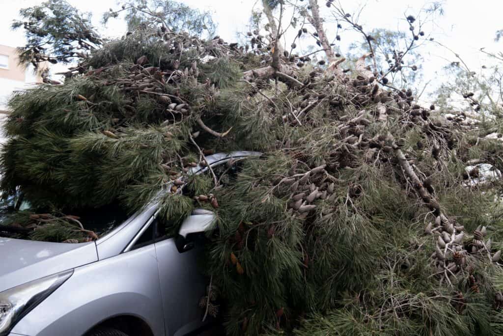 Météo : tempête Pedro, des dégâts à redouter ce jeudi en Occitanie